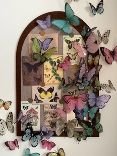 С�t������ë�ְ堝�N��Ƭ������ܛľ��չʾ�������P�������b�