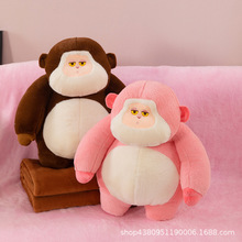 ɐɿż{ůփöһͨӶ๦˯