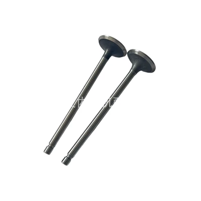 3940734, Valves and components