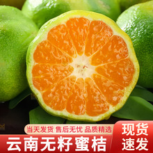 云南蜜橘早熟黄橘子新鲜水果9斤整箱绿皮蜜桔当季青皮酸桔子代发