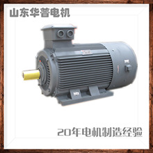 YVP2低压变频电机  250kw  220kw 200kw 立式卧式 风机水泵专用