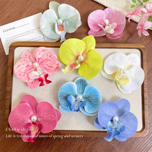 ���ɺ����m���滨��l�AŮ��߅�����A�¿�����A�l���^����߅���