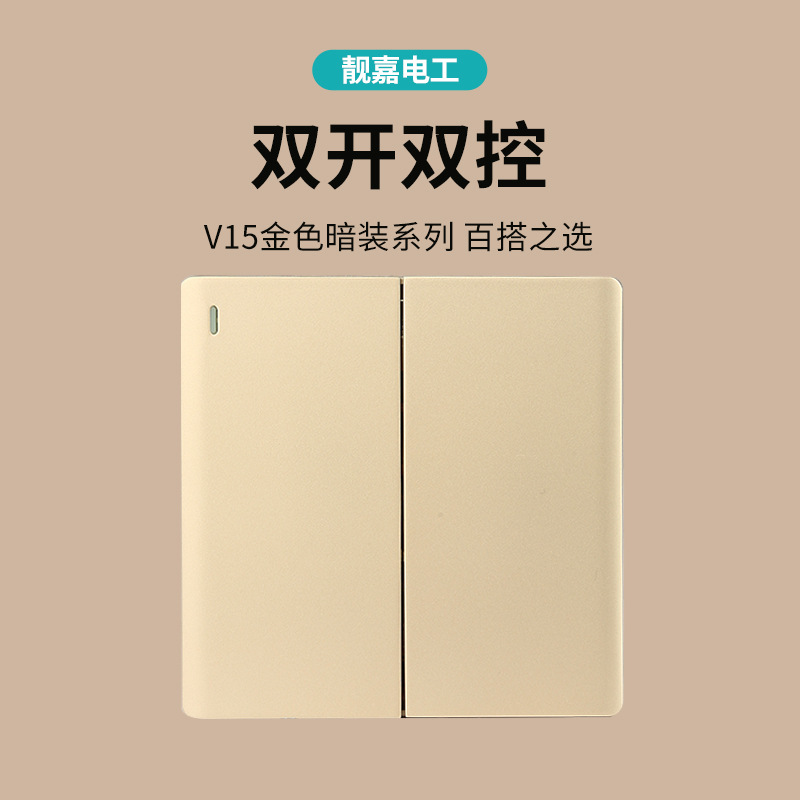 V15 two-open double-control switch