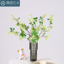 ����𻨷��滨��c��ˇ�𻨘��c���߷���ѩ�������ļ���Gֲ