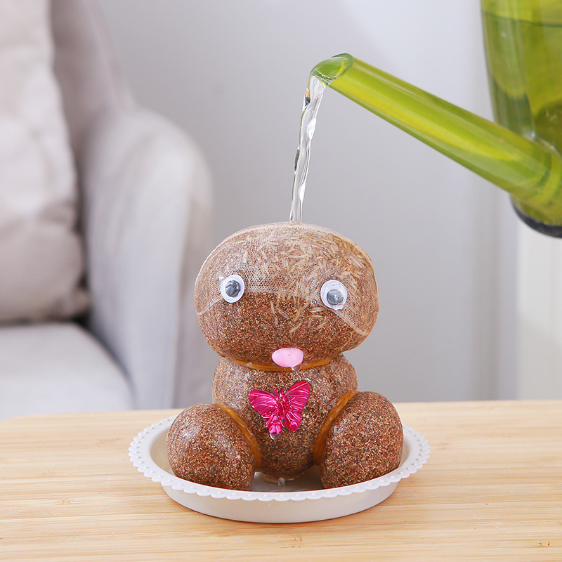 Muñeco de cabeza de hierba con planta verde, regalo creativo