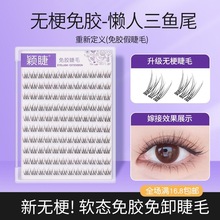 【无梗免胶】免卸懒人鱼尾假眼睫毛透明梗分段式上睫毛自然浓密款