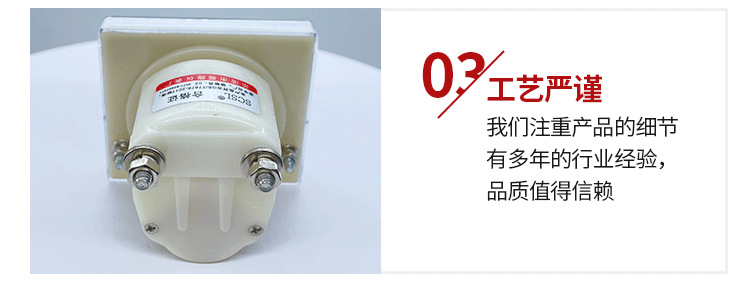 乐清市蜀隆仪表厂xq_07