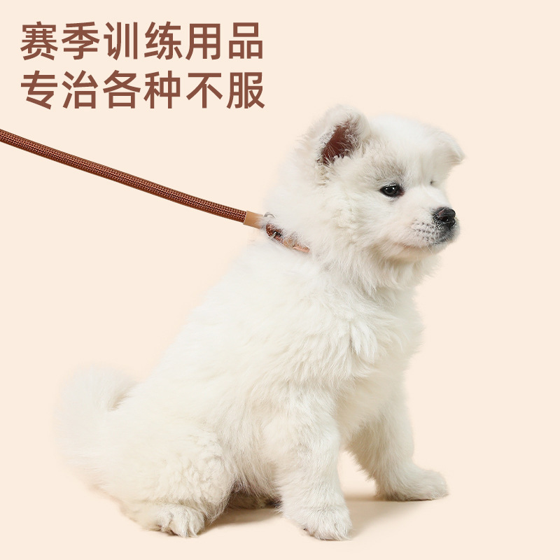 Cuerda de nylon P Cadena de tracción a juego de piel de vaca redondo P cuerda de perro entrenamiento para caminar P cuerda de tracción de perro retráctil