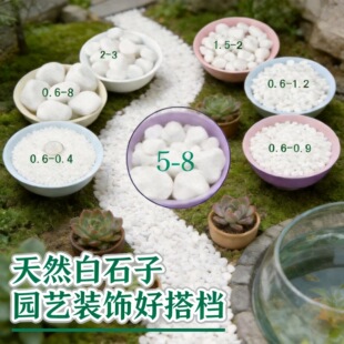 ��ʯ��С��ʯ���@�쾰�b��~�׶���С��ʯ�w�����Ҹל矟ɳ�����l