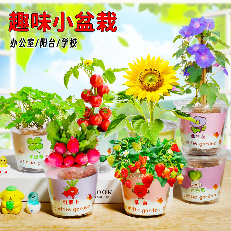 Children's Mini Planting Kit for Strawberry Plants, Desktop Greenery in Plastic Cups, DIY Practice and Observation Children's Mini Planting Kit for Strawberry Plants, Desktop Greenery in Plastic Cups, DIY Practice and Observation