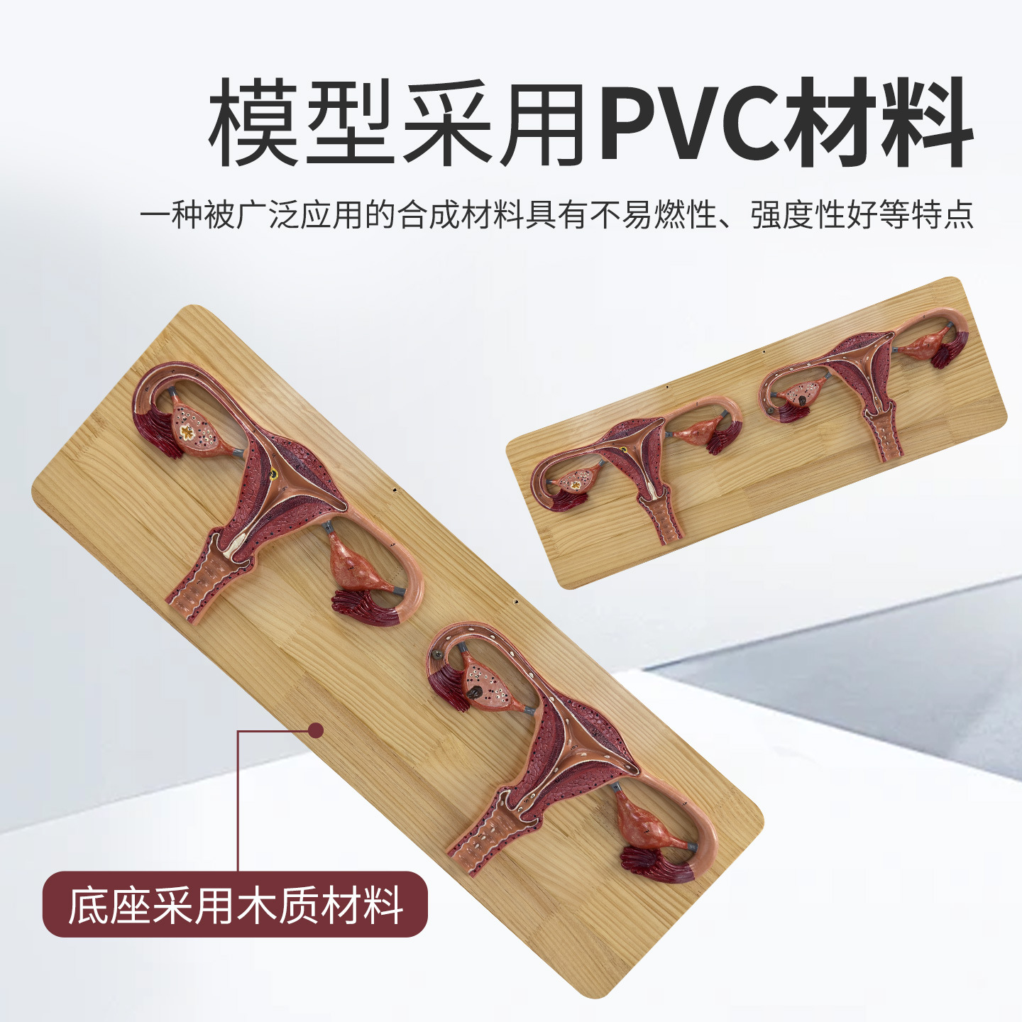 ҽ�������ܾ����̷Ŵ����ģ���ӹ��ѳ��ܾ�����ֳ�Ƽ���չʾģ��