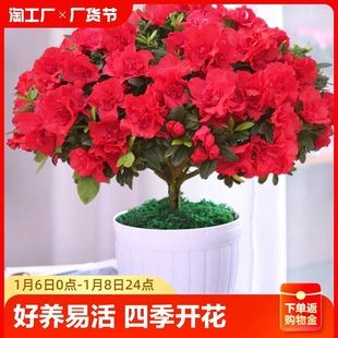 �ļ����N�����Ԏ������t���N�������Ϙ��L�ۻ����҃ȿ͏dֲ���̨