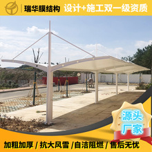 늄�܇���늘�ͣ܇����܇���ɫ����܇��С�^PVDFĤ�Y��Т��܇��