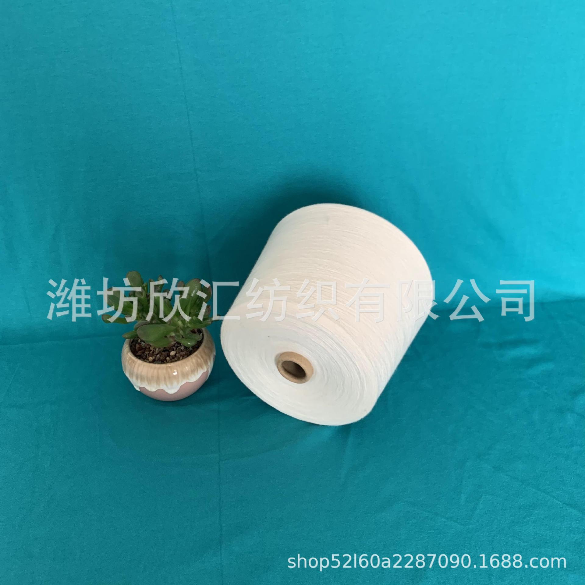 莱赛尔纱21支32支40支 天丝纱50支60支 兰精天丝纱80支现货批发