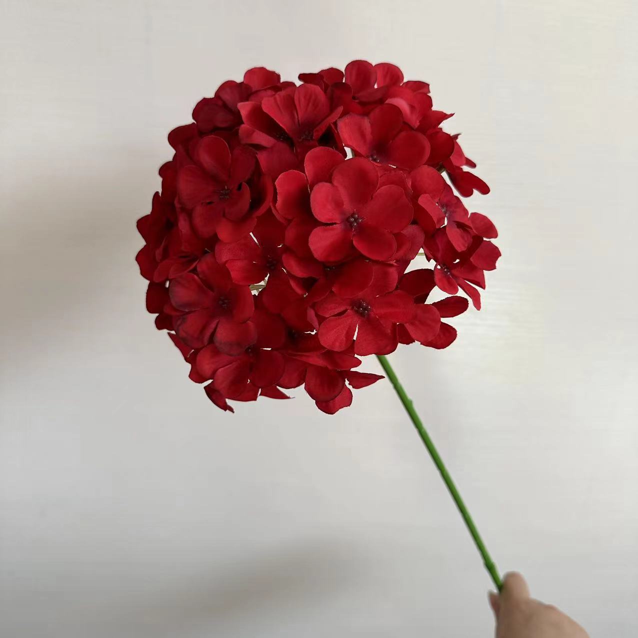 Hydrangea giok rusak