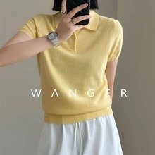 �r����ɫ48S����ˇ�P�Ӽ� POLO�I�ٴ��@�ݶ���С���Lᘿ�������