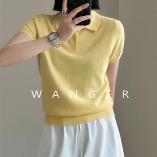 �r����ɫ48S����ˇ�P�Ӽ� POLO�I�ٴ��@�ݶ���С���Lᘿ�������