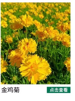 ΢ͼƬ_20220907211451