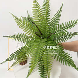仿真绿植 蕨类植物手感波斯植物背景墙插花花材配饰装饰北欧造景