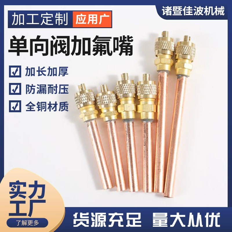 Кондиционирование холодильника компрессорное оборудование с фторидным надувным одноходным клапаном