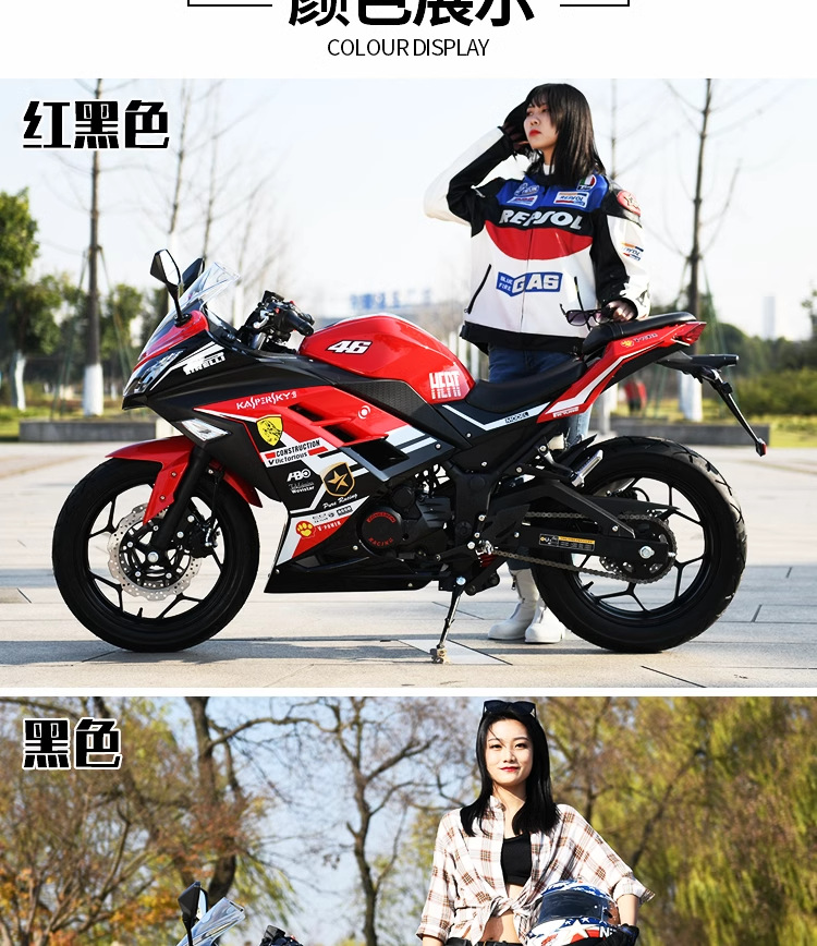 Cross-Border Export of Ninja Motorcycle R3 Outdoor Retro Motorcycle Jiaolong Sports Car Twin-Cylinder Road Race License H2