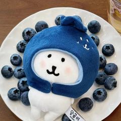 10cm 春シリーズ アップルフード コットンドール ヌヌ 自虐クマ チイカワフード ピクニックバスケット オーナメント