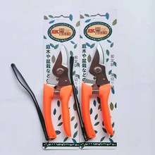 ��֦�� �J��8��@ˇ�� ���P䓘�֦��֦�����ۼ��FƤ�� ������ƺ��