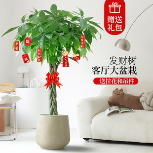 �lؔ��͏d���Դ��҃���ؾGֲ����ֲ���p�ӹ�˾�_�I���w�ͶY��̖