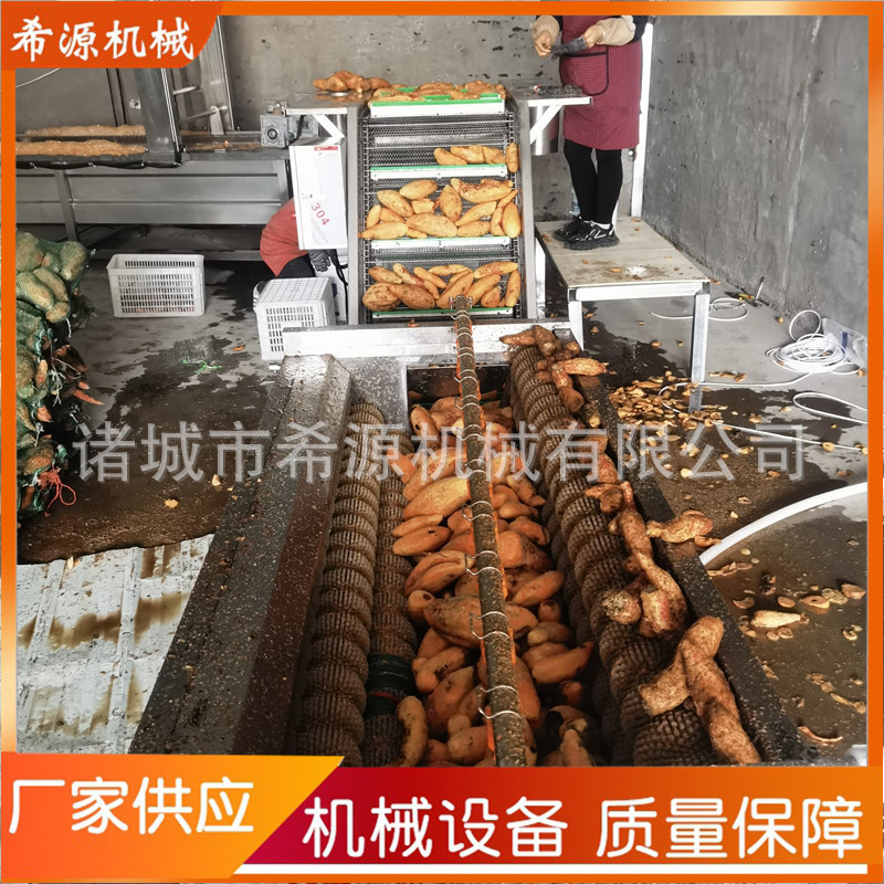 现货槟榔芋头毛刷清洗机 土豆芋头清洗去皮机 清洗去皮两用机