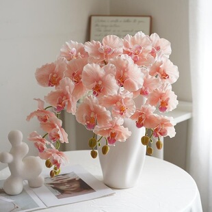 ���滨 9 �^�ָк����m �͏d�Ƶ�Ӱ��g�ҾӲ廨�b�ˇ