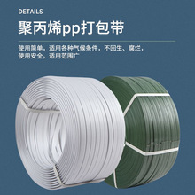 打包带pp手工包装带捆扎带手用捆绑带厂家直销10kg包装带pp打包带