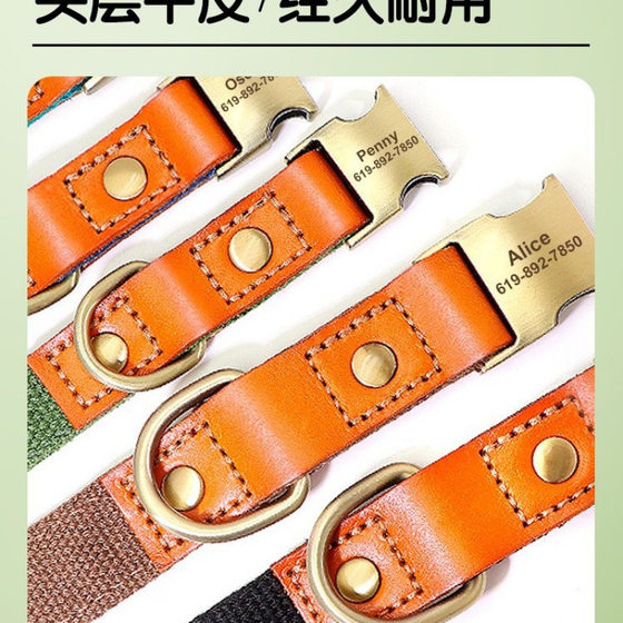Pet Dog Collar Engraved Anti-Lost Dog Tag Collar Golden Retriever Medium and Large Dog Shiba Inu Small Dog Collar Leash