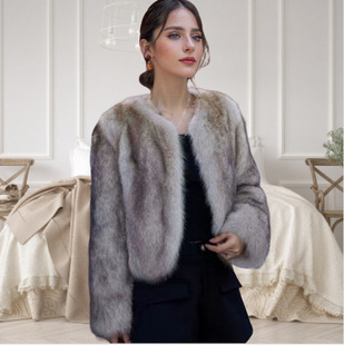 2025�ﶬ�¿�u׃�º���ë���|���eƤ�ݶ̿����׼Ӻ�ůëë����