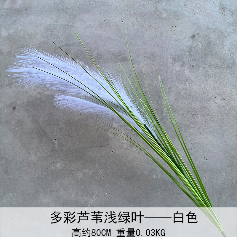 Caña hierba simulación de flores Cai Guoqiang Fuegos artificiales Caña Fuegos artificiales diurnos Fuegos artificiales diurnos Caña Fuegos artificiales