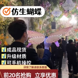 舞台灯;其他专用灯具;激光灯