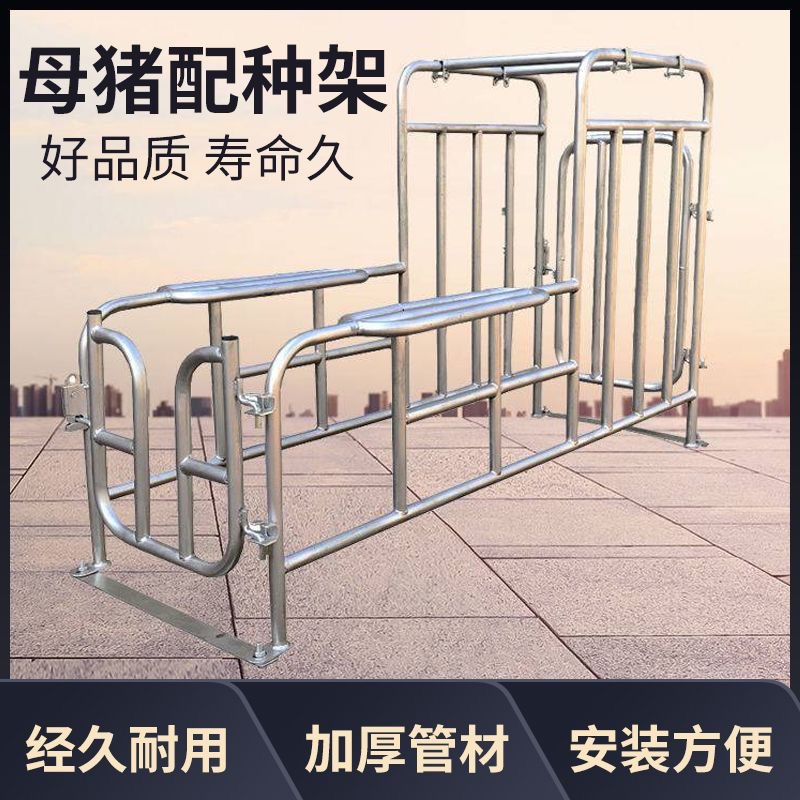 Rack de semilla de cerdas elevación rack de semilla de cerdo pie bajo rack de semilla de suelo galvanizado en caliente soporte de recolección de semilla