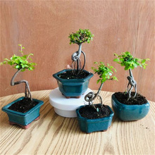 ����ܘ��辰С�~��������΢���辰�҃Ⱥ��B�Gֲ���������U������