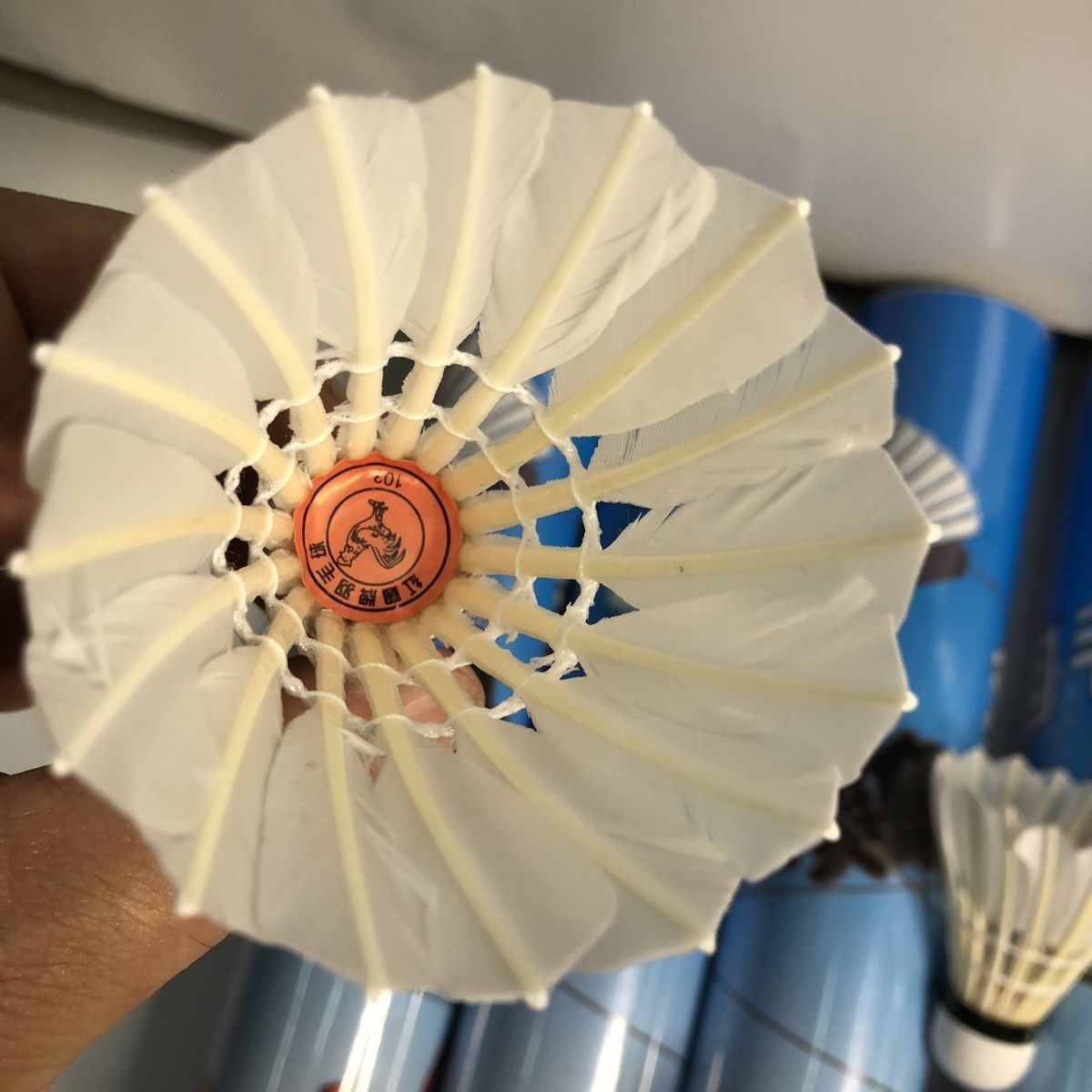 Authentic Blue Chicken Badminton. Fujian Old Brand Durable Blue Chicken Red Chicken Badminton Factory Direct Sales with Free Shipping