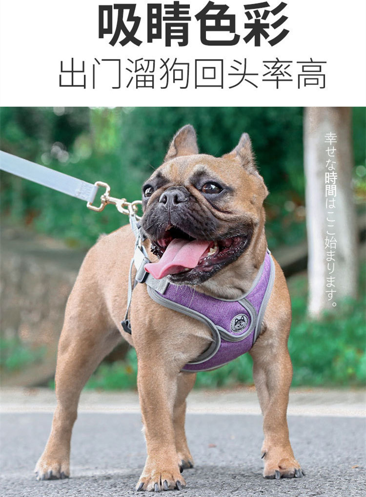 Dogs Thoracolumbar band Pets Supplies new pattern SMEs Reflective Get rid of Vest type Dog Leash