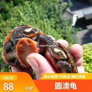 ˮ����ˮ��׈A�������������~�S�����������A�W�������x�_ʳ