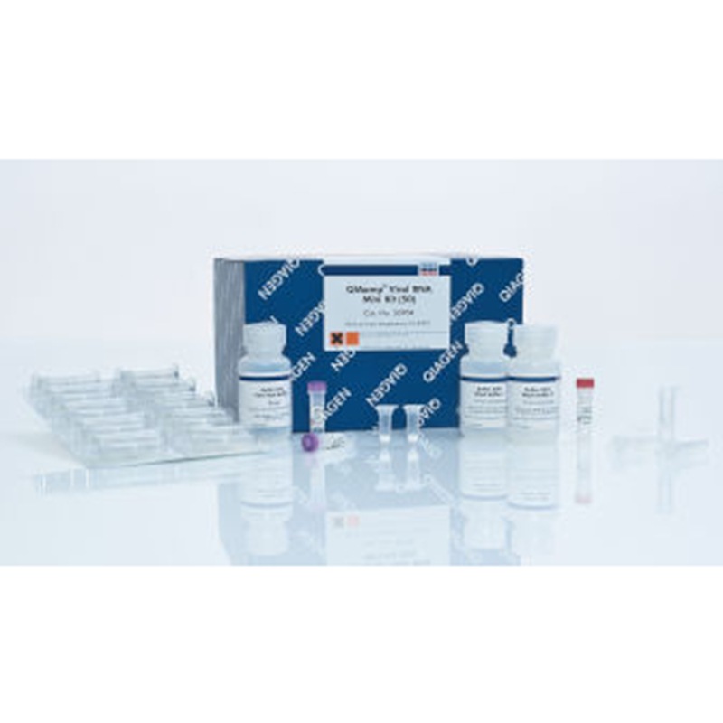 52904 QIAGEN 凯杰 QIAamp Viral RNA Mini Kit (50)提RNA试剂