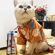 猫咪衣服夏季清凉沙滩衬衫风布偶蓝白金渐层薄款狗狗夏天防晒迪贸