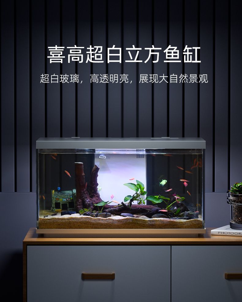 dba62ca5-9147-413d-b5b5-cec8f013dd42.jpe