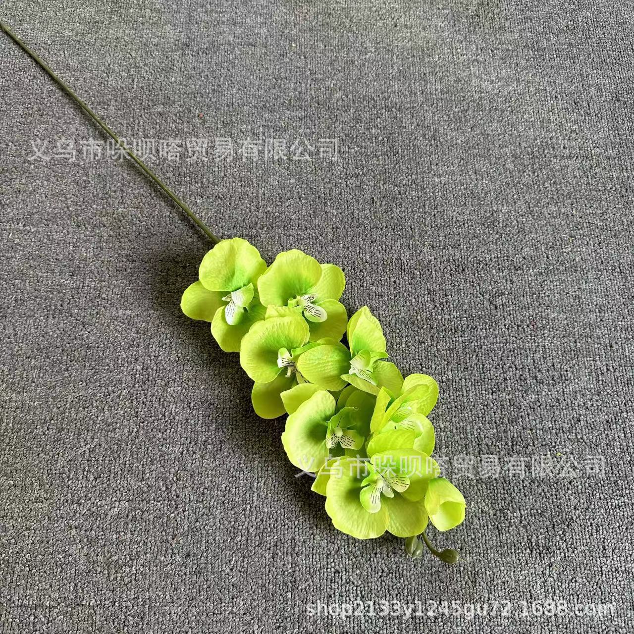 8 실크 호접란-녹색