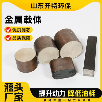 Qaz üç yollu katalizator metal daşıyıcı, 300 mesh metal filtr