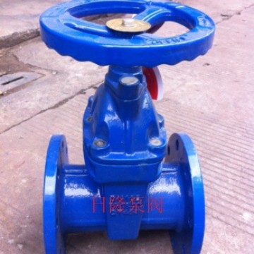 Z45X暗杆弹性座封闸阀    法兰闸阀