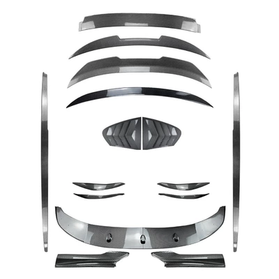 Big Surrounded | rear wing, complete vehicle kit modification