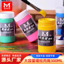 ������ϩ���300ml���L���L���Ldiy��Ь�����T�f��ˮ���L���