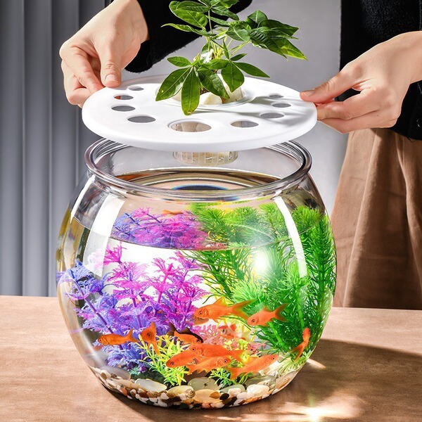 Plastic transparent aquarium for home use for living room