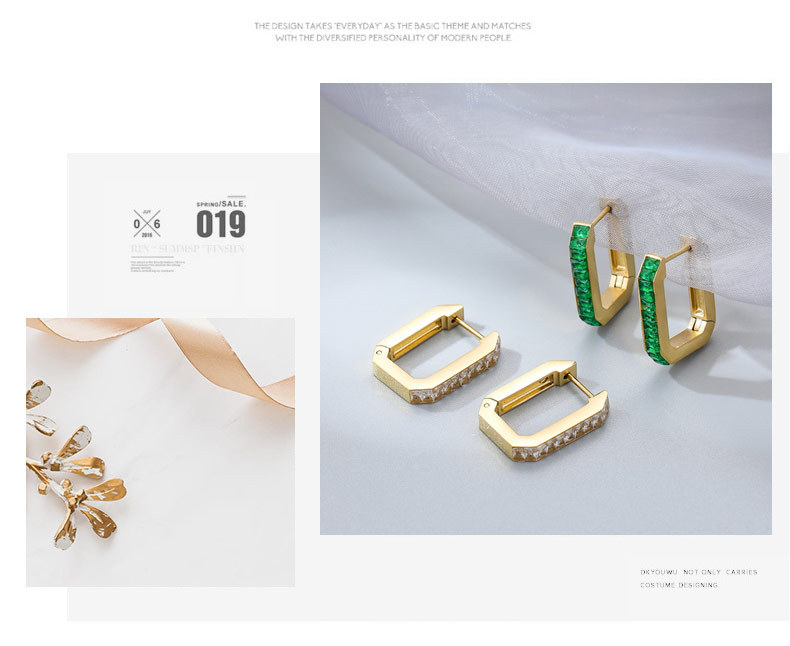 Fashion Geometric Titanium Steel Plating Zircon Earrings 1 Pair